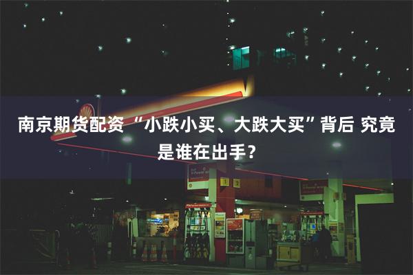 南京期货配资 “小跌小买、大跌大买”背后 究竟是谁在出手？