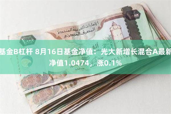 基金B杠杆 8月16日基金净值：光大新增长混合A最新净值1.0474，涨0.1%