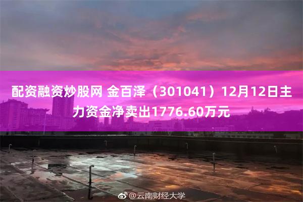 配资融资炒股网 金百泽（301041）12月12日主力资金净卖出1776.60万元