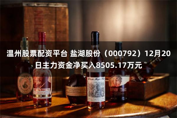 温州股票配资平台 盐湖股份（000792）12月20日主力资金净买入8505.17万元