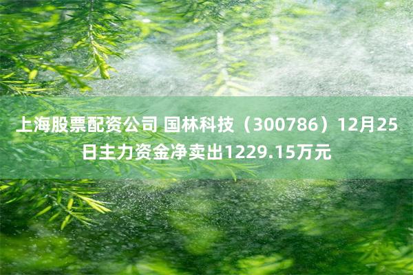 上海股票配资公司 国林科技（300786）12月25日主力资金净卖出1229.15万元