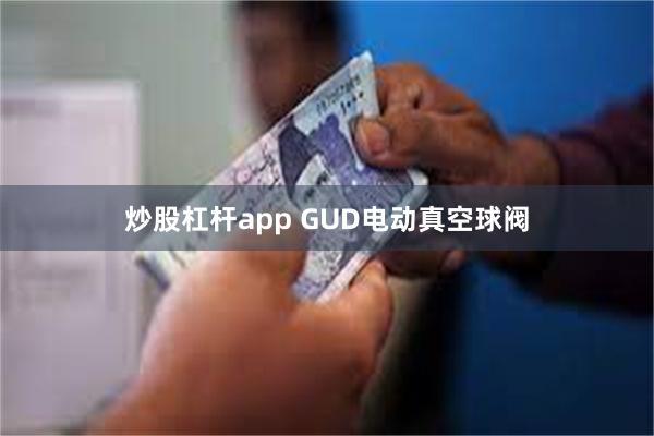 炒股杠杆app GUD电动真空球阀