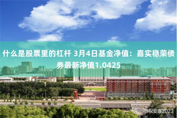 什么是股票里的杠杆 3月4日基金净值：嘉实稳荣债券最新净值1.0425